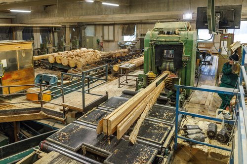 žaga, Kočevska Reka