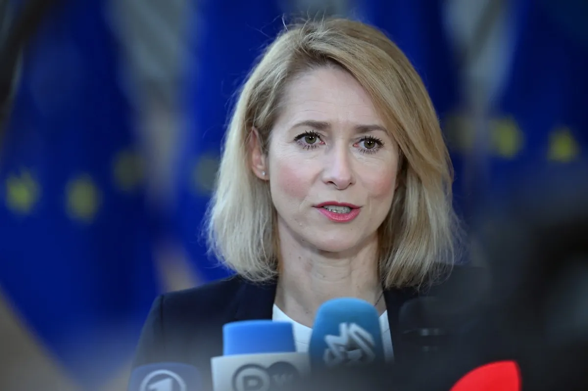 Kallas: Večina članic podpira obstoječi institucionalni ustroj zunanje politike