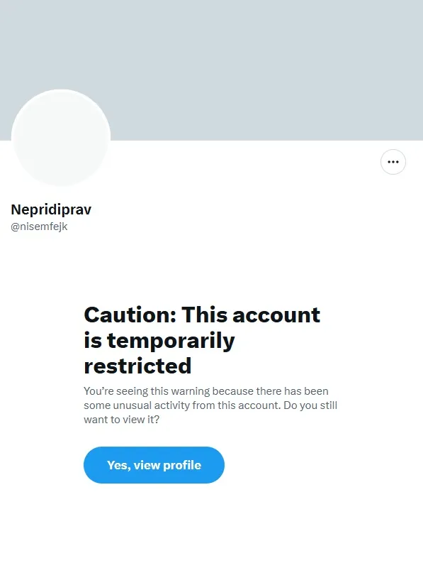 Po blokadi računov na Instagramu Repićev profil na omrežju X začasno omejen