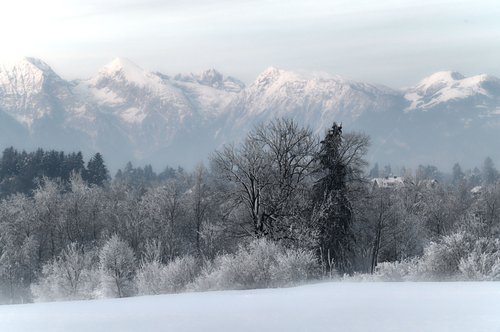Prizor iz Škofje Loke, januar 2024