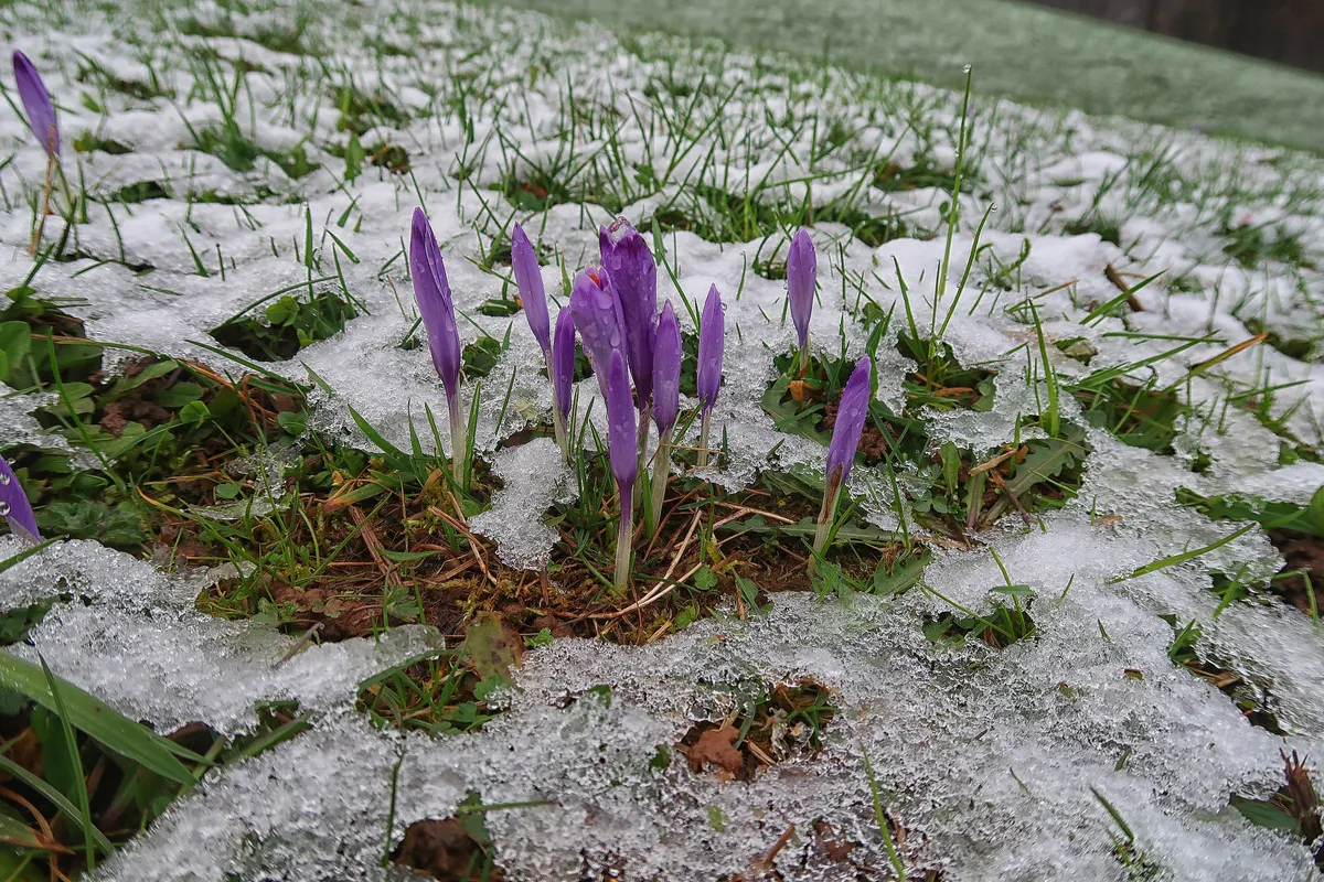 Po nadpovprečno toplih dneh nas bo dosegla hladna fronta
