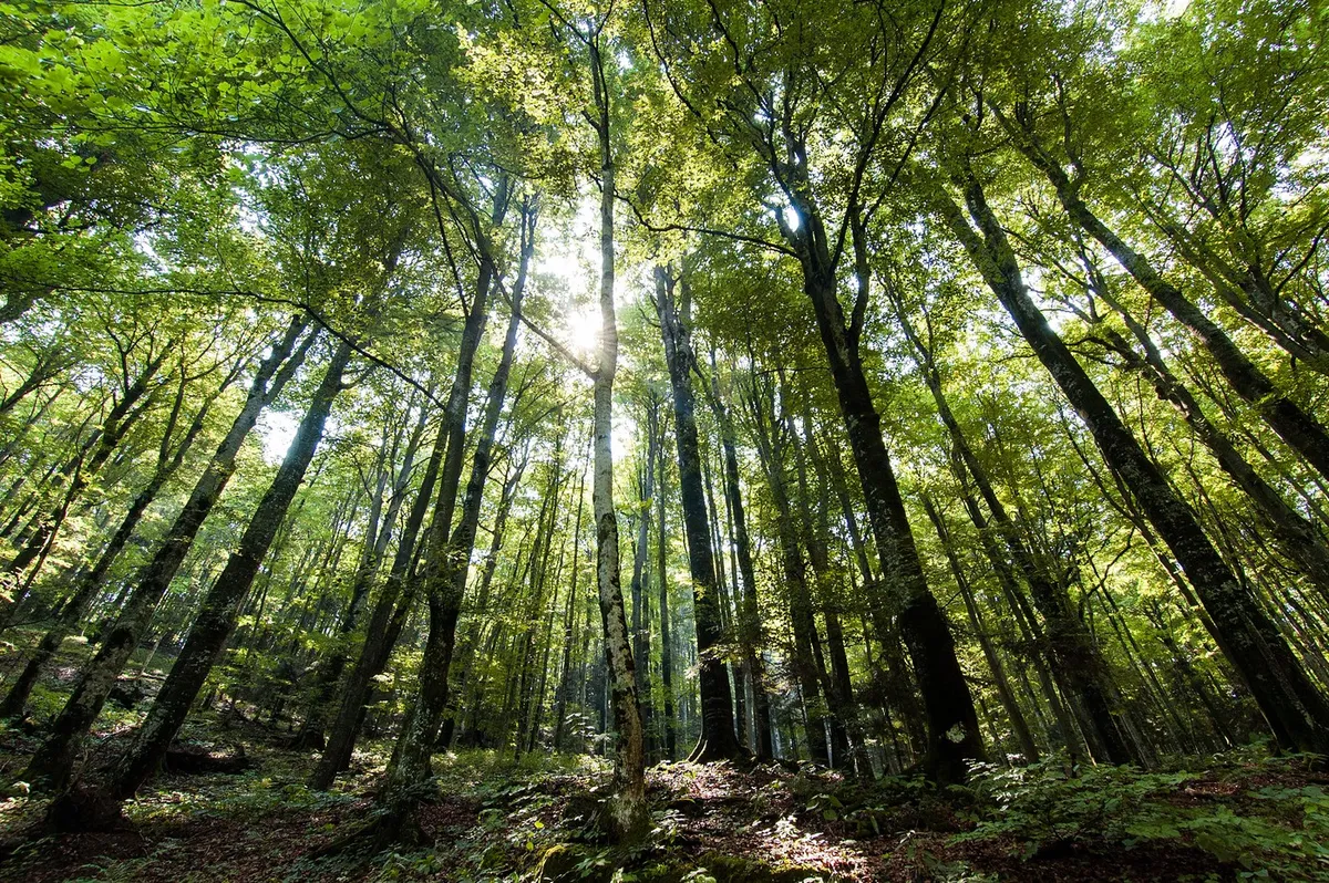 Prizor iz narave navdušil Hrvate: "To je pravi spektakel"