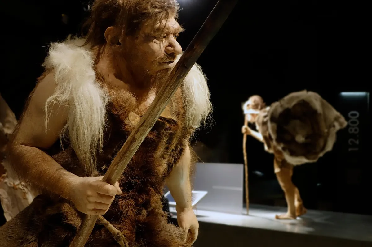 Neandertalci so verjetno uporabljali antibiotik, kaže raziskava