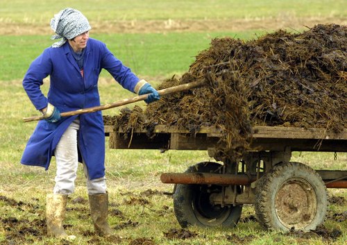 SLOVENIJA, VODICE, 15.03.2003, 15. MAREC 2003ZACELA SO SE KMETIJSKA SPOMLADANSKA OPRAVILA, GNOJENJE TRAVNIKOV, TRAKTOR.FOTO: TINA KOSEC/BOBO