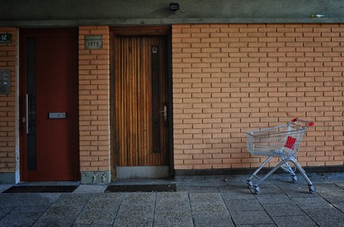 Nakupovalni voziček