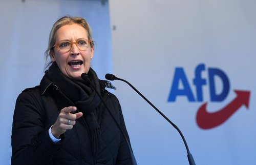 AfD, Nemčija