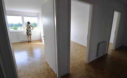 Stanovanje Zelena jama