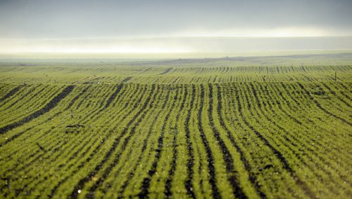 NARAVA KMETIJSTVO POLJSCINE NJIVA