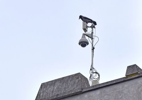 Detajl kamera in ptica