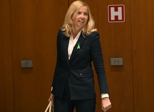 Izredna seja DZ RS Golob Botjanèiè