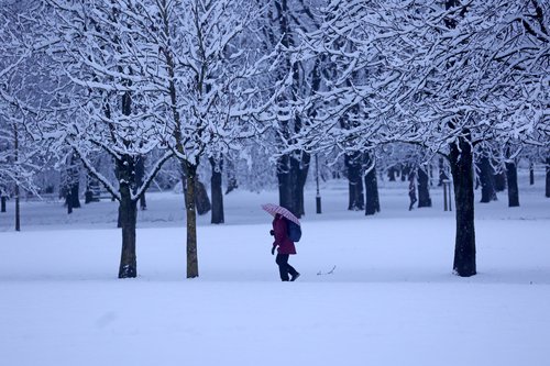 Zasnežena Ljubljana, sneg, Ljubljana, sneženje, zima