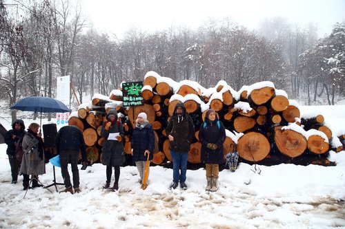 protest, mladi za podnebno pravičnost, sečnja, gozd, rožnik