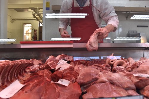 Mesnica meso mesna industrija