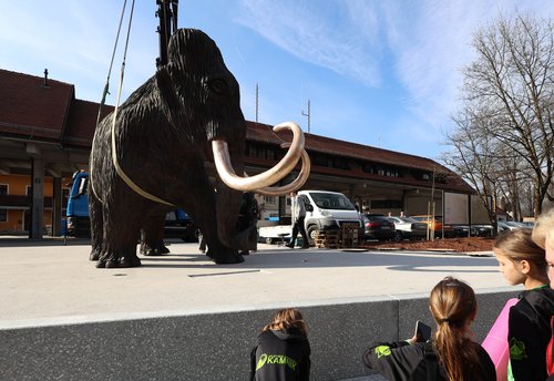 Kip mamuta v Kamniku