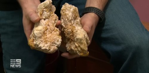 zlato,Darren Kamp,najdba,avstralija