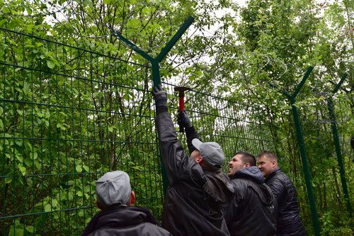 Odstranjevanje ograj na meji