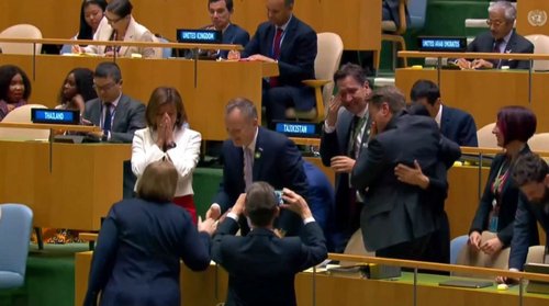 Tanja Fajon, OZN, VS, odziv, glasovanje, nestalna članica