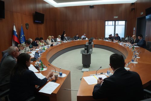 odbor za finance, dz