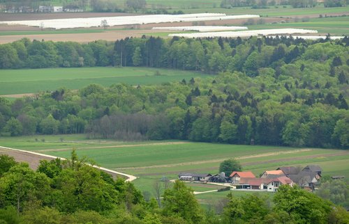 vas, Dolenjska, pokrajina, polja