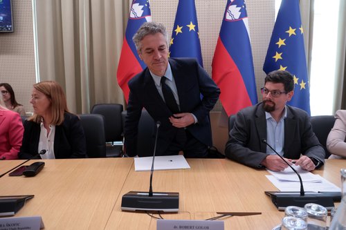 Seja ekonomsko socialnega sveta,