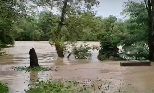 Sava pri Tomačevem v Ljubljani