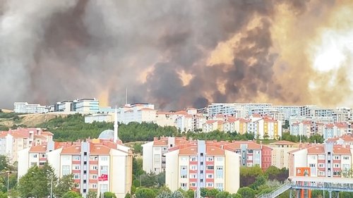 Canakkale,turčija,gozdni,požar,ogenj