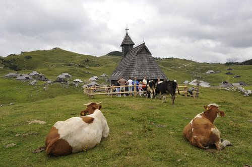 velika planina