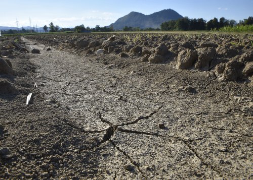 Kmetijstvo namakalni sistemi zelenjava tople grede