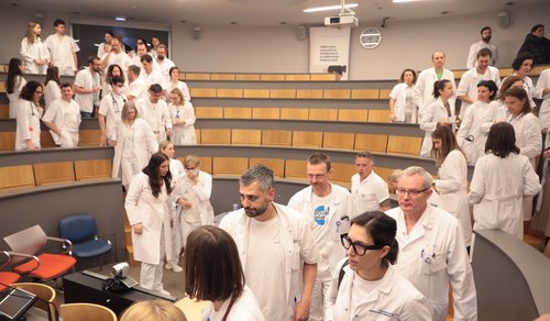 zdravniki, stavka, fides, stavkovni odbor, Onkološki inštitut