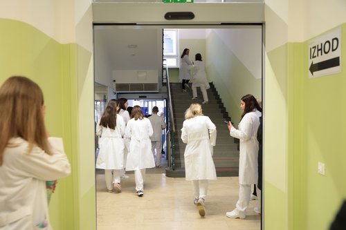 zdravniki, stavka, fides, stavkovni odbor, Onkološki inštitut