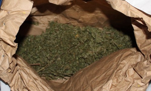 policija, droge, konoplja