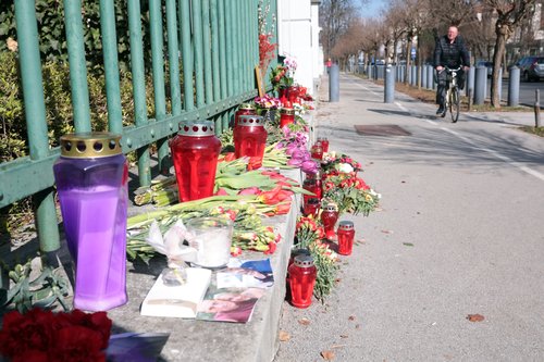 nemško veleposlaništvo, aleksej navalni, ljubljana