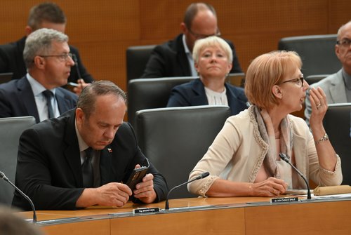 Poslanka NSi Vida Čadonič Špelič in poslanec SDS Branko Grims