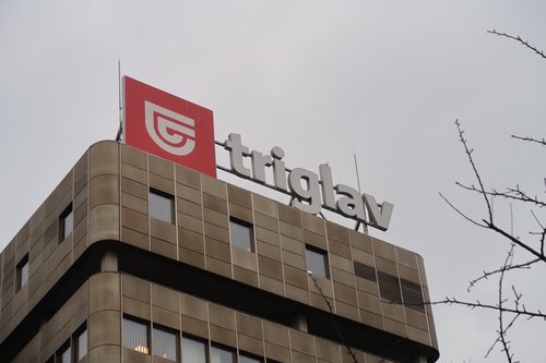 Zavarovalnica Triglav