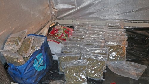 konoplja, idrijsko, prepovedana droga