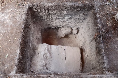 Ivan Šprajc, Maji, Mehika, arheologija