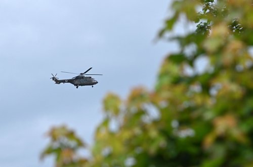 Cougar slovenske vojske