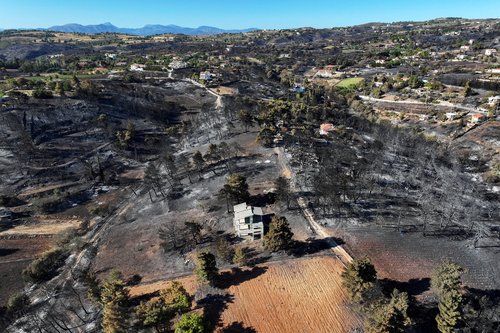 Aftermath of a wildfire in the village of Varnavas, near Athens