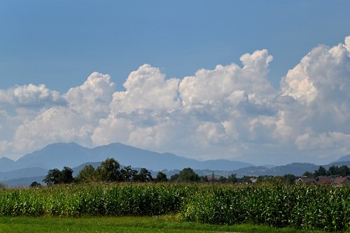 oblaki, nevihta, poletje