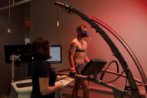 vročinska komora, raziskava, študija