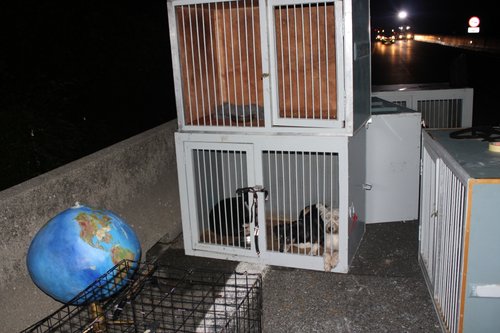 prometna nesreča, štajerska avtocesta