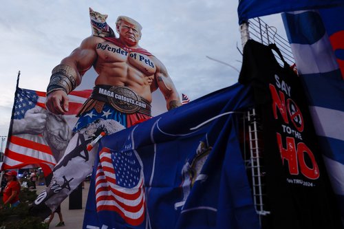 Donald Trump, volitve, ZDA,