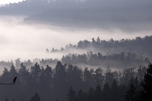 Jutranja Megla, vreme