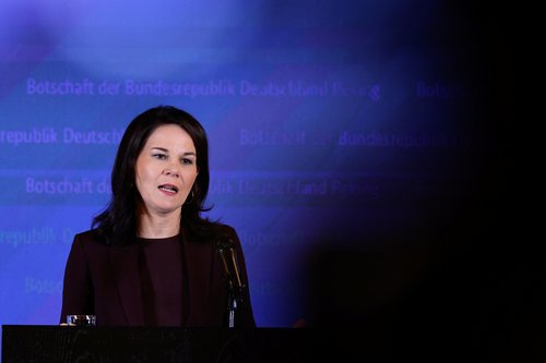 Annalena Baerbock, Nemčija