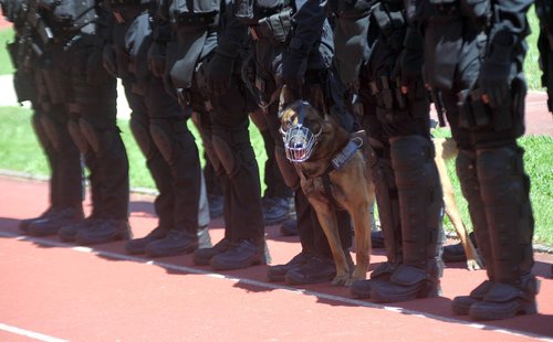 specialna enota, policija