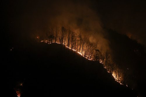 požar, Južna Koreja