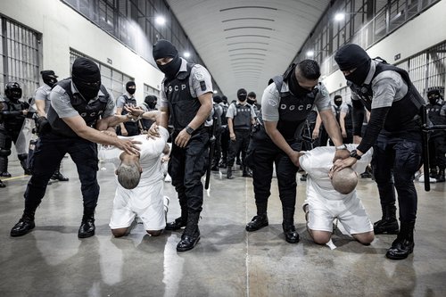 zda, deportacije, priseljenci