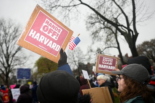 Harvard, protest, ZDA