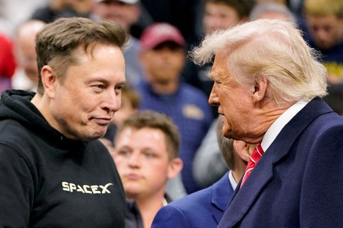Elon Musk in Donald Trump