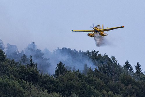 Požar pri Podgorici